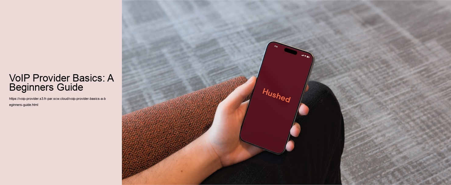 VoIP Provider Basics: A Beginners Guide